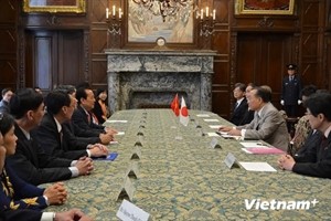 Ho Chi Minh City leaders visit Japan  - ảnh 1
